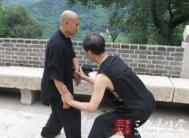 太极拳视频 陈氏太极拳技法的特征教程
