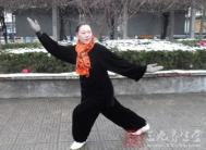 传统太极拳 如何阐述中国的太极文化