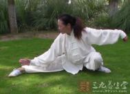 杨式太极拳 谈裆在杨式太极拳技击中的作用