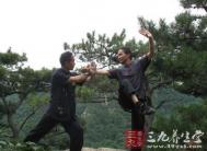 太极拳视频 杨式22式太极拳教学(九)