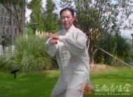 太极拳视频 48式杨式太极拳全套分解教学