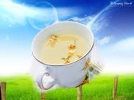 菊花枸杞茶怎么做