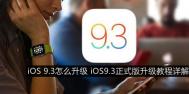 iOS9.3正式版怎么升级?