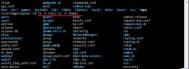 linux系统常用命令有哪些? 