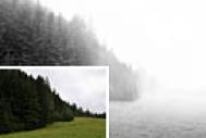 Photoshop给树林风景照片加上淡灰色迷雾