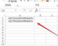 在Excel中如何正确显示出长串数字?