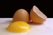 鸡蛋壳的功效_鸡蛋壳有什么用处