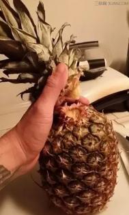 1秒钟学会切菠萝最简单的方法
