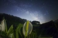 宫坂雅博拍摄星空如何选好前景