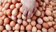 怎样识别坏鸡蛋方法