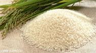 怎样防止米面生虫