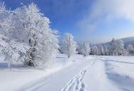 雪景摄影有什么好的技巧