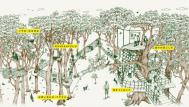 日本最大树屋：围绕着一颗300年古树