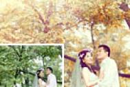 Photoshop给树林婚片加上浓郁浪漫的秋季色技巧