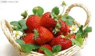 吃草莓补充什么营养
