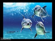 photoshop绘制海豚教程