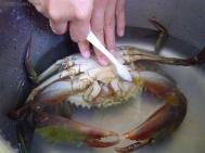 螃蟹怎么洗干净？清洗螃蟹的正确方法