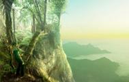 PS合成打造一幅森林悬崖边奇幻风景全景效果教程