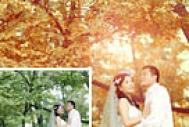 Photoshop打造温馨浪漫的暖色树林婚片