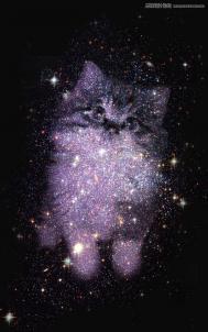 Photoshop合成创意的星空装饰的猫咪