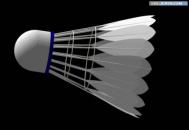 AutoCAD三维建模制作立体羽毛球