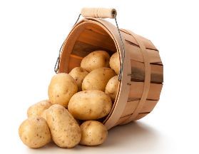 土豆有什么营养