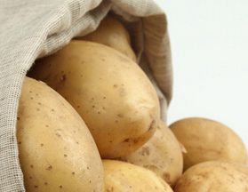 马铃薯和土豆有什么区别