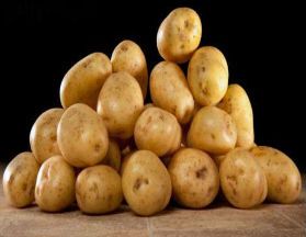 发芽土豆能吃吗