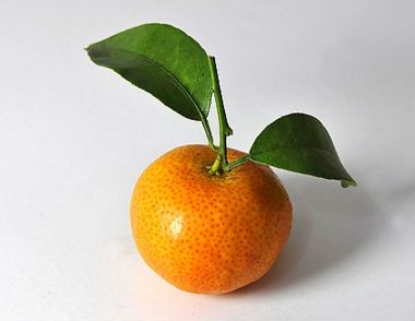 橘子能放多久 橘子可以放几天