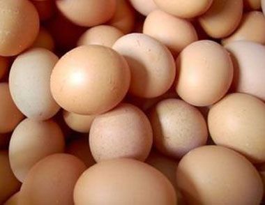 鸡蛋不能和什么一起吃 哪些食物不能跟鸡蛋一起吃