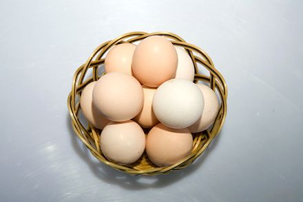 肾结石可以吃鸡蛋吗 肾结石患者能吃鸡蛋吗