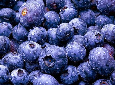 蓝莓吃了有什么好处 蓝莓的功效和作用