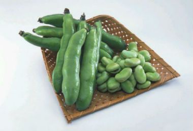 吃蚕豆有什么好处 蚕豆的功效及作用