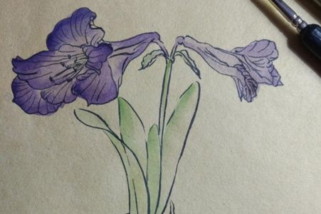 漂亮的小花朵手绘图解教程 小花朵手绘图的画法