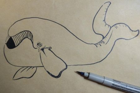 可爱的小鲸鱼简笔画教程 小鲸鱼简笔画的画法