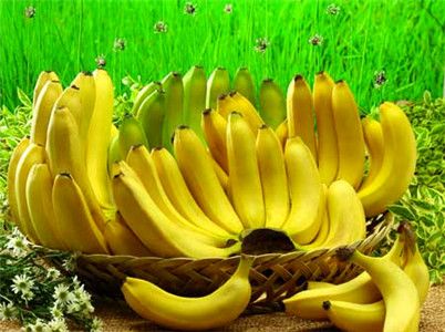 香蕉和什么食物相克 香蕉什么时候吃最好