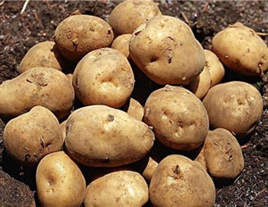 土豆不能和什么一起吃 土豆的食用禁忌