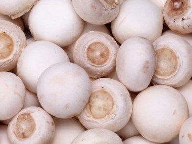 吃蘑菇会长胖吗 减肥的热量高吗