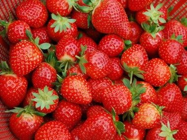 1月份有草莓吗 一月份的草莓好吃吗