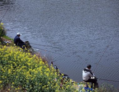 春季钓鱼要注意什么 春季钓鱼的注意事项