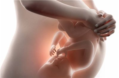 胎儿在肚子里都做什么？