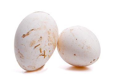 鹅蛋可以去除孕妇体内寒气？