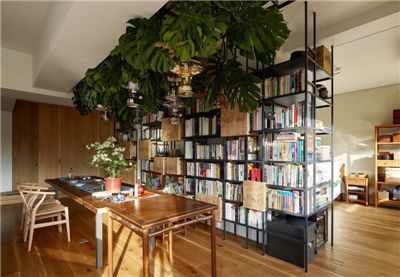 家居绿植装修设计方案 绿植营造文青咖啡馆风