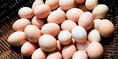 怀孕期间如何食用鸡蛋