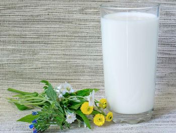 牛奶减肥法的注意事项 牛奶减肥法的禁忌