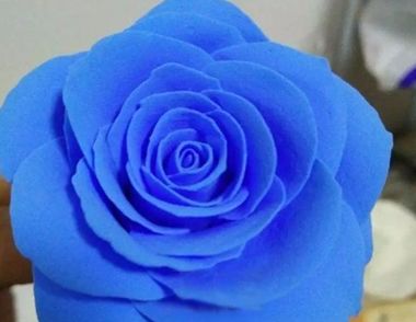 软陶蓝玫瑰制作教程及图解