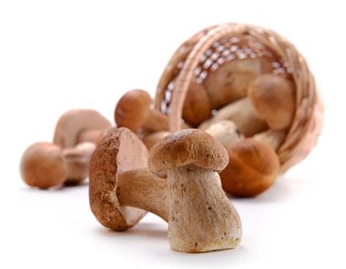蘑菇怎么吃更营养