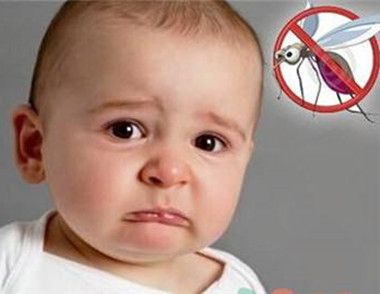 夏季为什么宝宝容易被蚊子咬？夏季哪种宝宝容易被蚊子咬