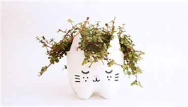 塑料瓶猫咪花盆的制作方法