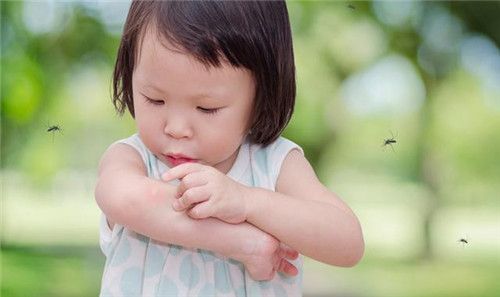 妈妈学会这6招，宝宝整个夏天不被蚊子叮！